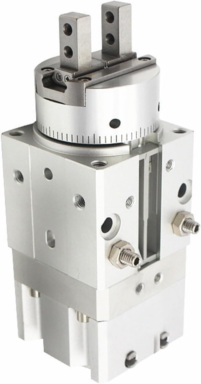 頸部の緩和」浅筋膜シリンダーと運動シリンダーへのアプローチ頸部の