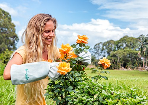 Rose Pruning Gloves for Men and Women. Thorn Proof Goatskin Leather Gardening Gloves with Long Cowhide Gauntlet to Protect Your Arms Until The Elbow (Extra Small) - Thumbnail 5