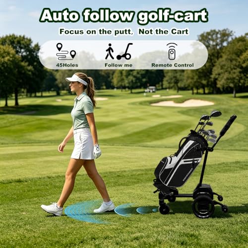 ICANGO G5 Smart Follow Cart