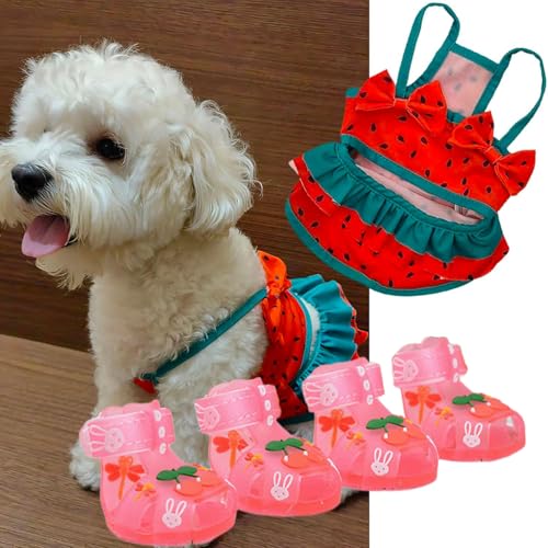 Vêtements d été pour chien avec bikini amusant cerise et chaussures souples