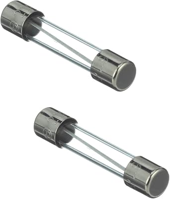 2 Pack XPARTCO 20AG Microwave Replacement Fuse WB27X11138, AP4980426, PS3486694, 261201200040, OEM19921706 for GE, Hotpoint