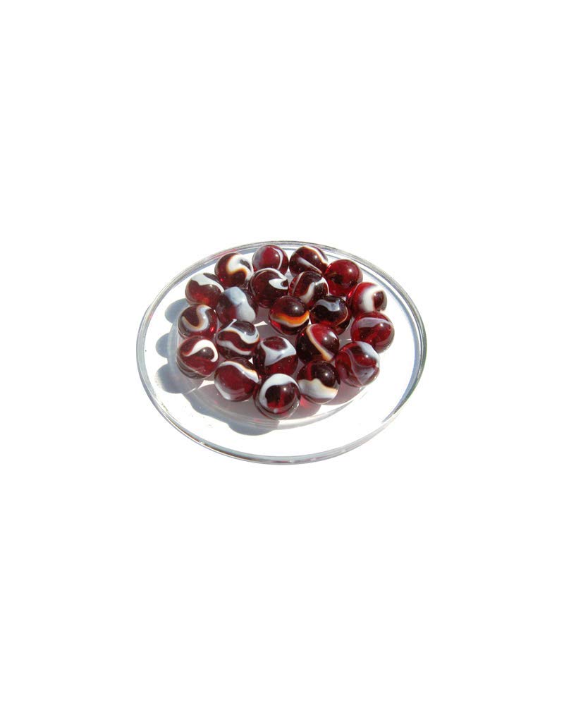 mesbilles - Filet de 25 Billes Iguane : 24 Billes 1 Calot Dont 4 Billes offertes