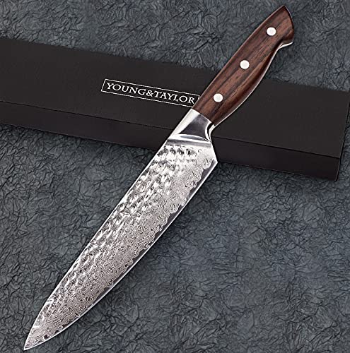 YOUNG&TAYLOR 8 Inch Professional Chef Knife,67 Layers Japanese VG-10 DAMASCUS STEEL with Hammered Fi