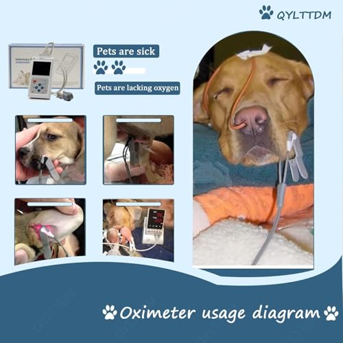 Moniteur cardiaque chat et chien pour détecter les baisses de SpO2 avec sonde - 3