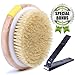Body Brush Shower Exfoliator Wet Dry Anti-Cellulite Skin Buffer for Dry Brushing & Exfoliating, Round Schima Wood Scrubber with Natural Scrubbing Bristles, 4.3” with Adjustable Hand Strap