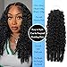 Human Crochet Hair Pre Looped 120g Burmese Curly Feather Crochet Real Human Hair Extensions Reusable Invisible Pre-Separated Knotless 100% Virgin Human Hair Crochet Bundles 20 Inch Natural Black
