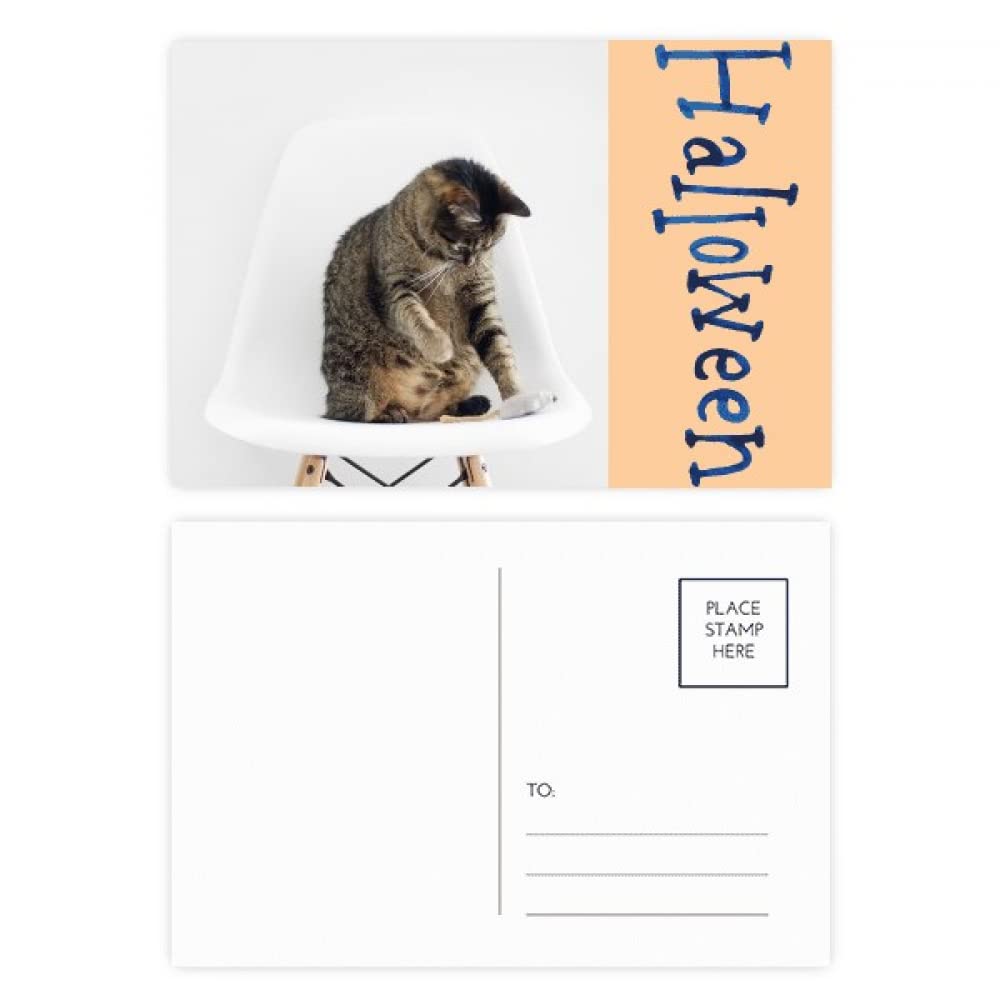 Cartes postales d'Halloween chat pour vos invitations et soirées de saison - 4