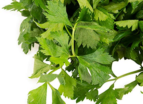 Image of Fresh Parsley, 50 g