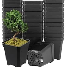 100 Pack 2.7 Inches Square Nursery Pot, Plastic Nursery Pots with Drainage Hole for Seedlings, Succulents, Potted Plants, Black