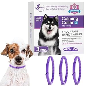 Mimoqk Beruhigende Halsbänder für Hunde, 3 Stück