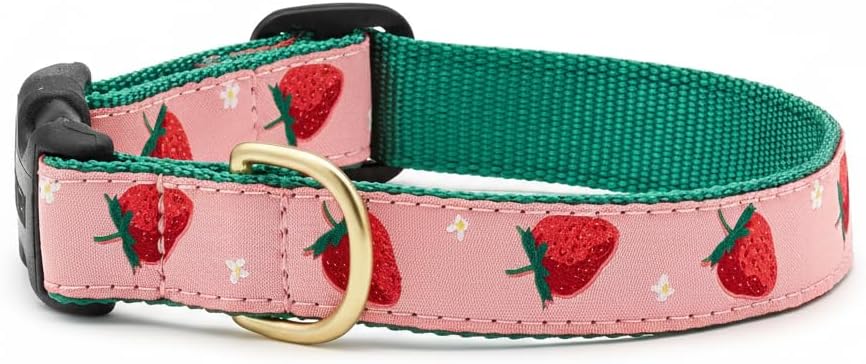 Up Country Strawberry Fields Dog Collar, Small (9 to 15 inches) 5/8 inch Narrow Width