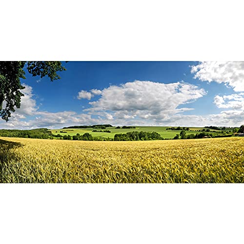 Toile de fond de campagne YongFoto 3x1,5m pour éliminer les reflets en studio photo