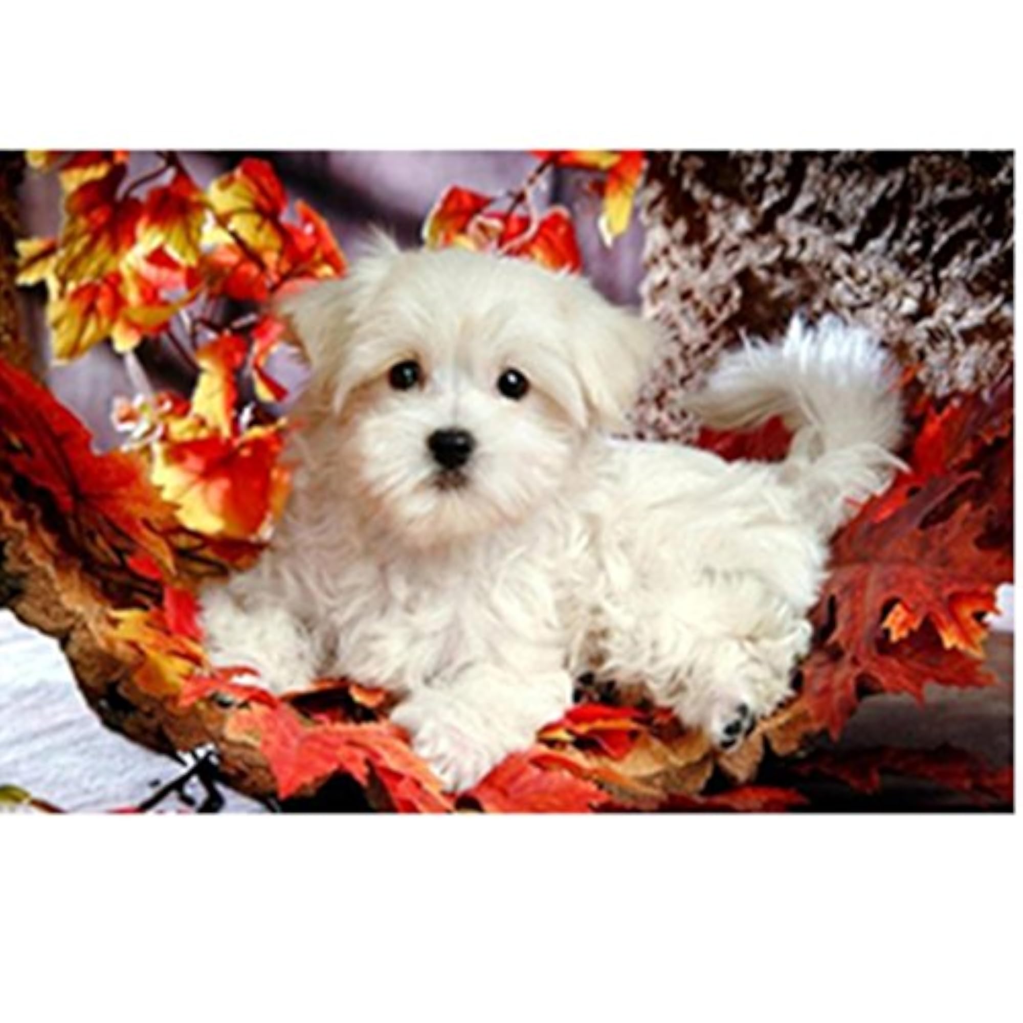 5D DIY Diamond Painting Animal Embroidery Art Craft