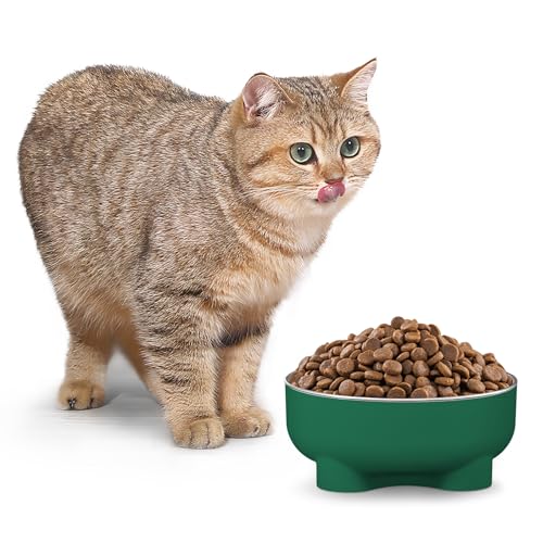 SUW LpEH[^[{EAhbOt[h{E~AȎqL&q̃t[hfBbVAXeXX`[LMAO[