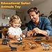 BOLZRA Safari Animals Figures Toys, Realistic Wild Zoo Animal Figurines, Plastic African Jungle Animals Playset for Kids Toddlers, 21Pcs Birthday Gifts Christmas Stocking Stuffers