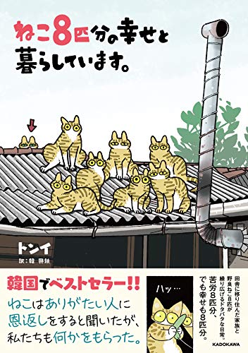 ねこ8匹分の幸せと暮らしています。