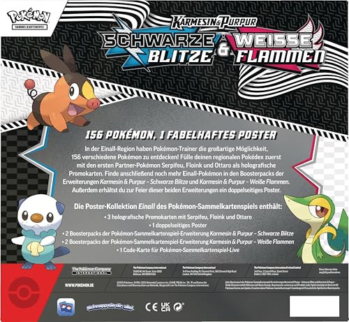 Pokémon-Sammelkartenspiel: Poster-Kollektion Einall (3 holografische Promokarten & 4 Boosterpacks)
