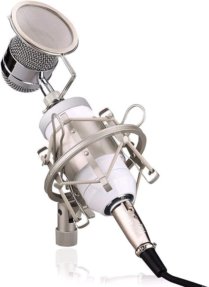 Mikrofon bezprzewodowy, zestaw mikrofonów do śpiewania karaoke do przesyłania strumieniowego i podcastów (Color : Blu)