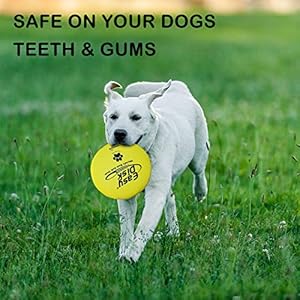 Funsparks Easy Disk Dog Flying Disc  Interactive Dog Fetch Toy  Durable and Easy on the Teeth  Simple to Toss  Lightweight Puppy Toy  Floats on Water  Cucciolini Doodles Funsparks easy disk dog flying disc  interactive dog fetch toy  durable and easy on the teeth  simple to toss  lightweight puppy toy  floats on water   cucciolini doodles