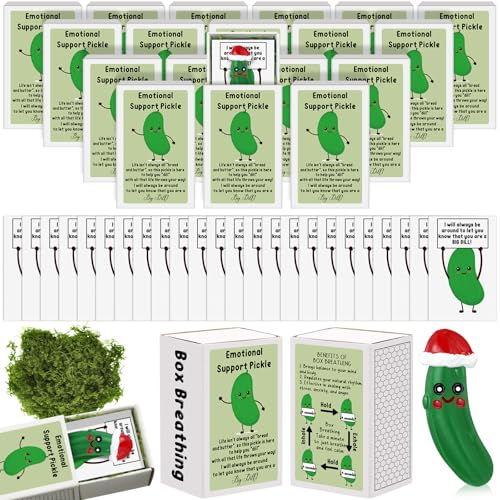 Wonderjune 36 Sets Werknemer Waardering Geschenken Bulk Emotionele Ondersteuning Positieve Bevestiging Geschenken Bedankt Geschenken Kerst Waardering Geschenken voor Collega's Personeel (Kerst Pickle)