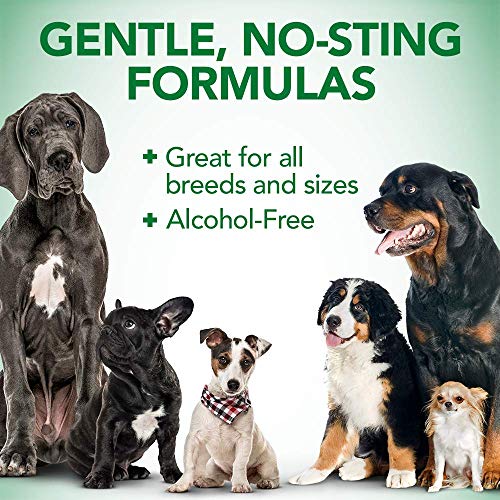 Vet's Best Dog Ear Cleaner Kit, Multi-Symptom Ear Relief Wash & Dry Treatment, alkoholfrei