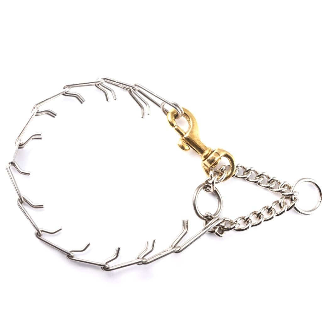 Kimberland Collars Brass Clasp 1.5mm (Duro) Stainless Steel Dog Training Collar for Small Dogs | 8