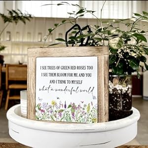 Spring decor wooden box signs for home decor flower sign wall decor flower wall art inspirational wood sign farmhouse home decor hanging wood sign for garden yard outdoor what a wonderful world  urban country home decor