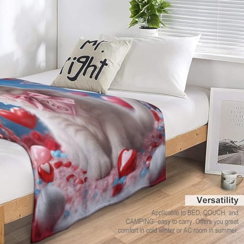 Couverture chat mignon en flannel haut de gamme avec impression 3D relief durable - 6