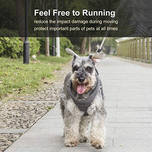 DECDEAL Colete acolchoado para cão No-Pull Super Light Ventilative Back Trela Ajustável No-Choke Tug