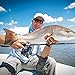 Cadence Fishing CR5 Spinning Rods | 30 Ton Carbon | Fuji Reel Seat | Stainless Steel Guides with SiC Inserts | CR5-702S-ULM