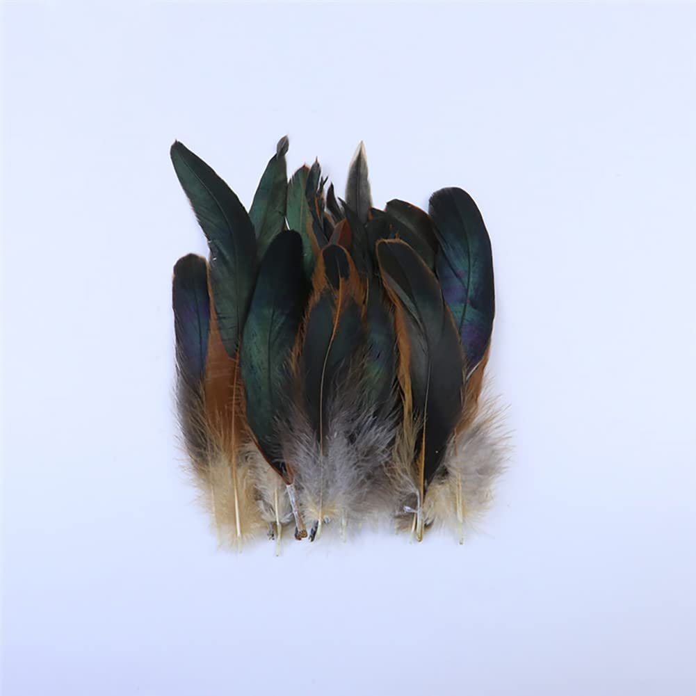 BYNYXI 100PCS Plume De Faisan, 14cm-20cm Plume De Coq Plumes