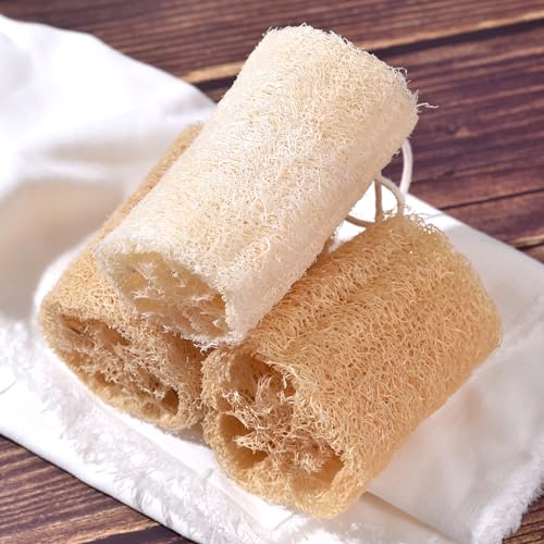 KADS VRw`}X|W Y t@4 oN GRth[ fB[vN[ p oXXNo[ lp Y fB[X V[ {fBXLPA (12cm)