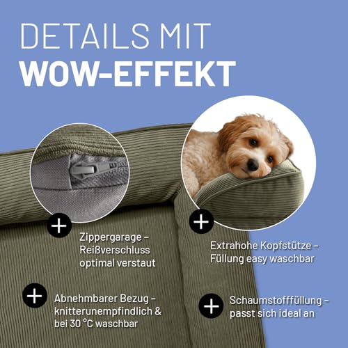Lumaland orthopädisches Hundebett aus Cord | ergonomisches Hundesofa 70x60 cm - für kleine Hunde | Boden rutschfest | Füllung und Bezug waschbar | Hundekörbchen mit Memory Schaumstoff