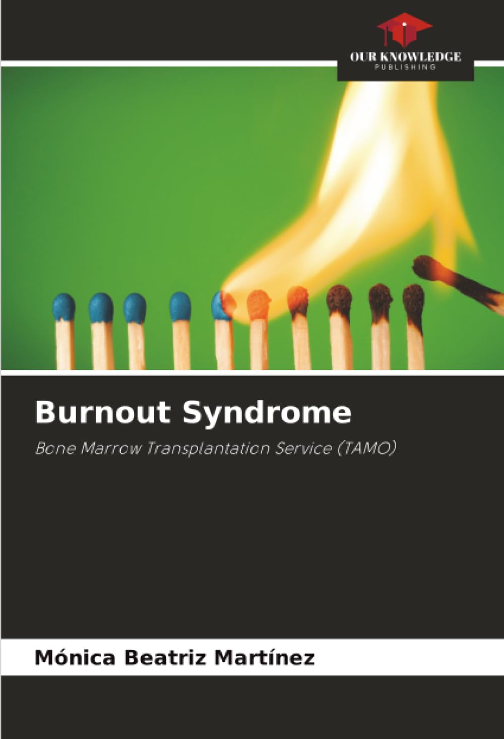 Burnout Syndrome: Bone Marrow Transplantation Service (TAMO)