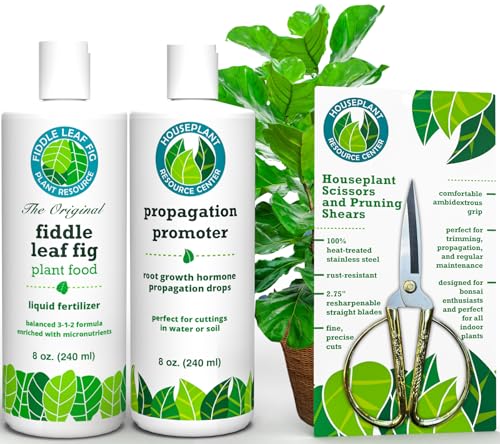 Fiddle Leaf Fig Notching Bundle