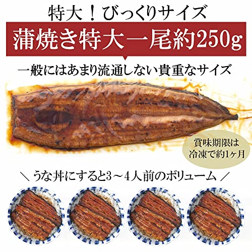 PRAIRIE DOG (プレーリードッグ) 国産 うなぎ 蒲焼 鹿児島県産 (特大約250g×2尾) の商品画像 6
