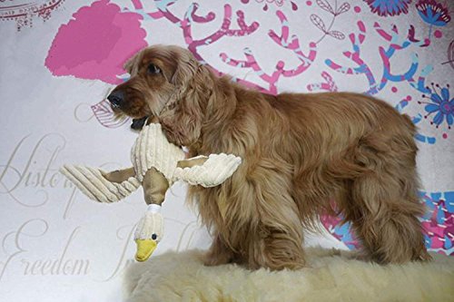 Giocattolo sonoro di peluche, combatte la noia