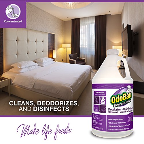 Odoban Professional Disinfectant And Odor Eliminator Concentrate, 1 Gallon, Lavender Scent #TOP2
