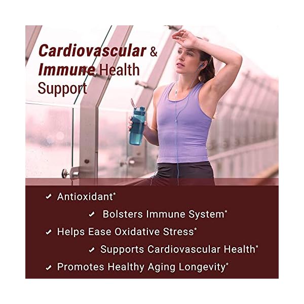 Zinc-Quercetin-120-Vegetarian-Capsules Sandhu's Zinc Quercetin 120 Vegetarian Capsules – Zinc Supplements for Antioxidant Immune Support Zinc for Men and Women – Gluten, Soy, Dairy Free