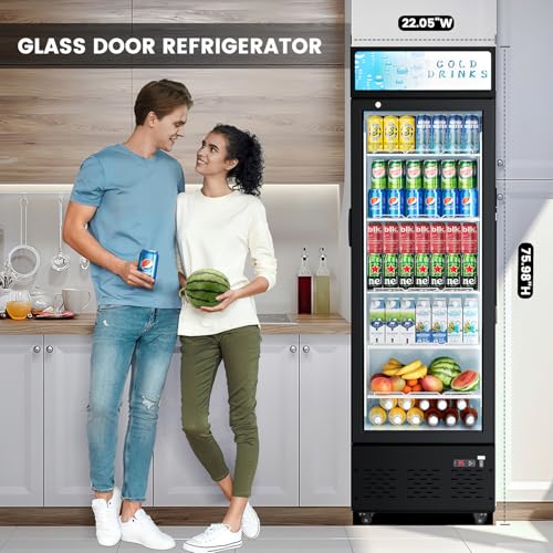 Image of Commercial Display Refrigerator Glass Door 11 cu.ft Commercial Beverage Refrigerators with LED and Shelves for Cafe, Restaurant, Store