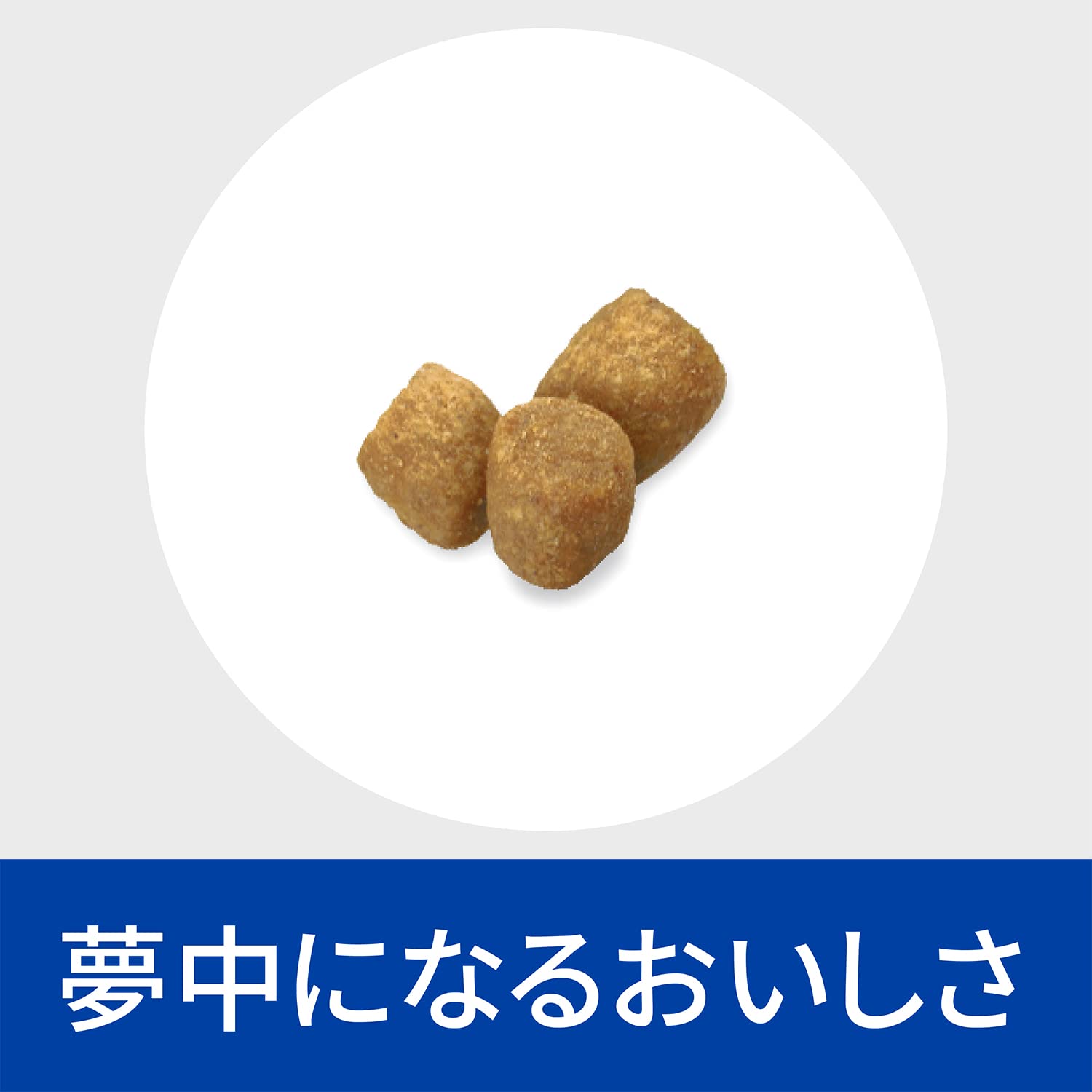 ヒルズ プリスクリプションダイエット キャットフード s/d エスディー