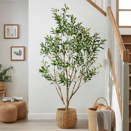 5FT Faux Olive Tree with White Pot & Moss, Artificial Olive Tree Indoor Outdoor, PE/PVC Leaves, Realistic Resin Trunk Large Fake Olive Tree Artificial Plants Indoor, Faux Plants Indoor for Home De...