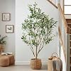 5FT Faux Olive Tree with White Pot & Moss, Artificial Olive Tree Indoor Outdoor, PE/PVC Leaves, Realistic Resin Trunk Large Fake Olive Tree Artificial Plants Indoor, Faux Plants Indoor for Home Decor