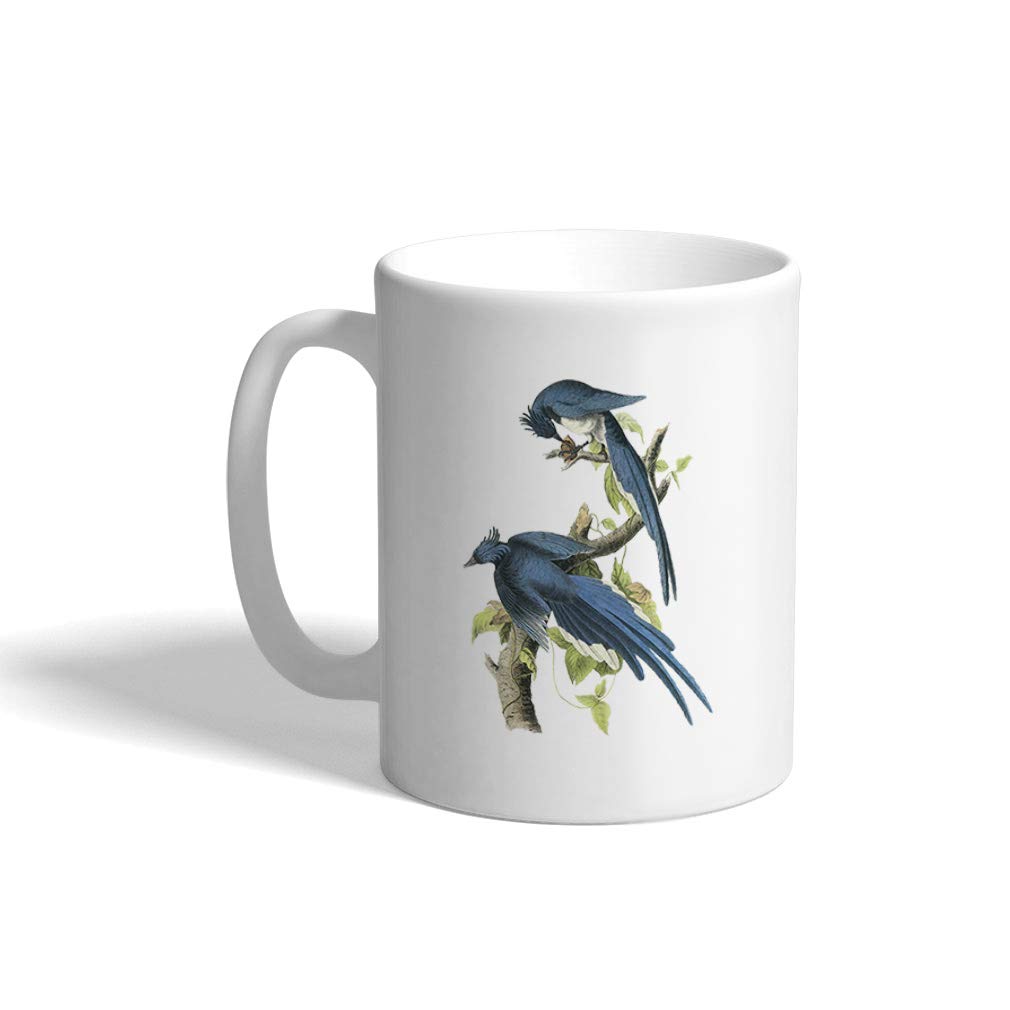 Custom Coffee Mug 11 Ounces Magpie Jay James Audubon Birds Animals Ceramic Tea Cup Design Only
