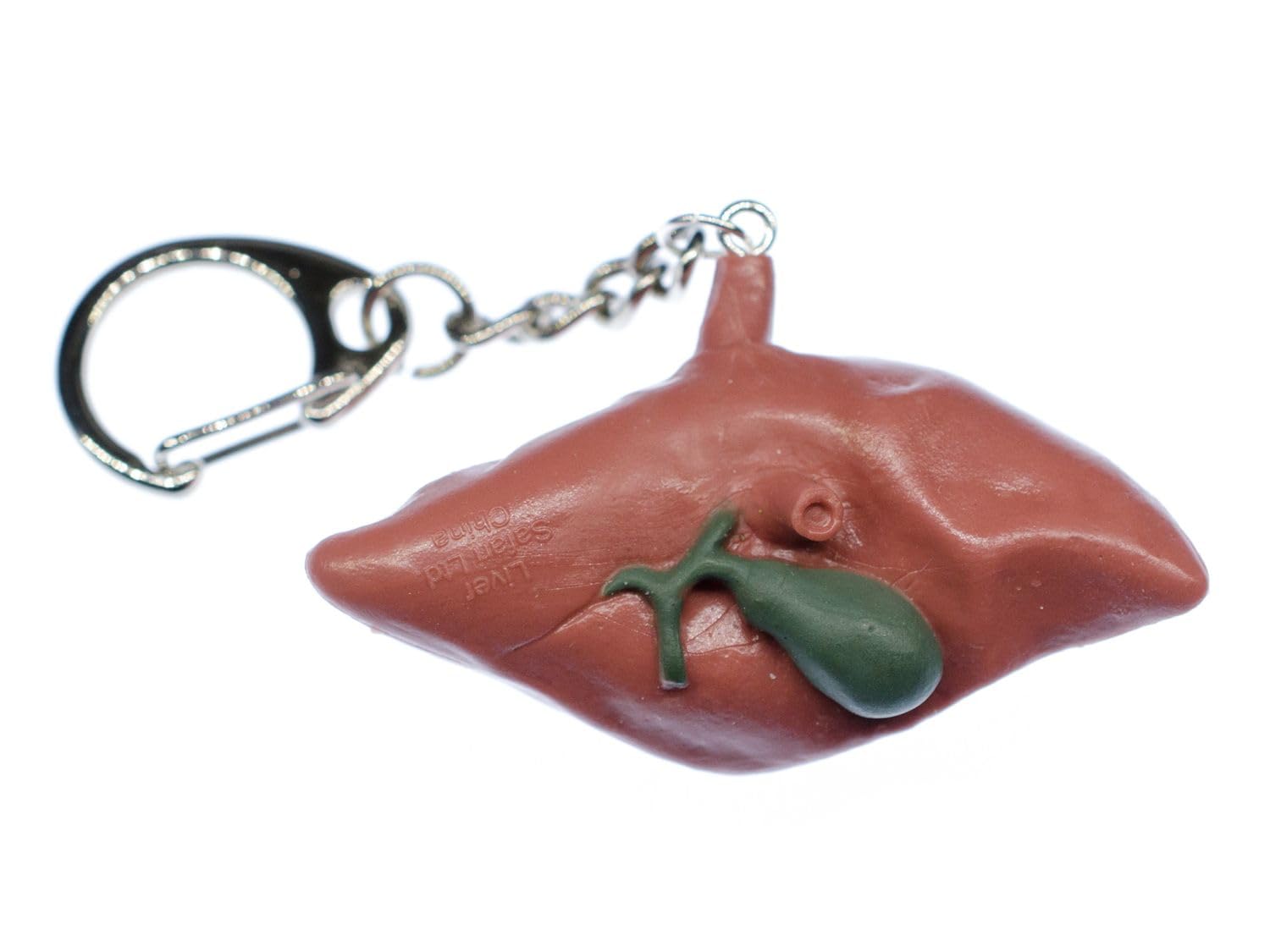 Miniblings Liver Key Ring Chain Kids Children Organ Human Anatomy Medicine