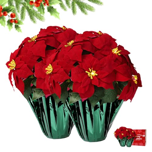 2 Pack Large Artificial Poinsettias for Outdoors Lighted Artificial Poinsettia