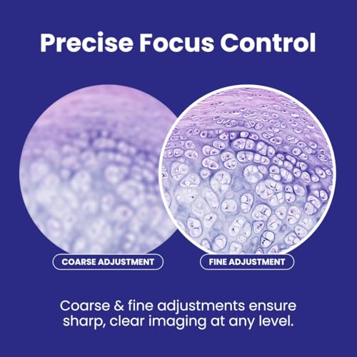 Trinocular Compound Microscope for Lab