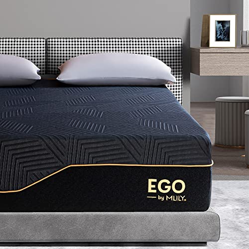 EGOHOME 14 Inch Queen Memory Foam Mattress for Back Pain, Cooling...