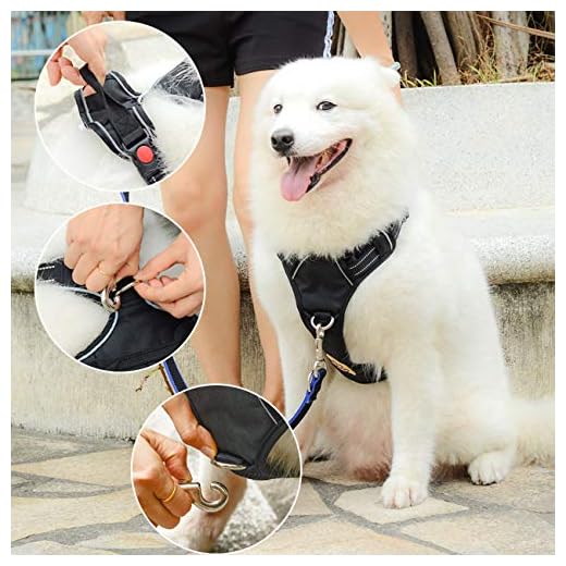 Happy Paws-No-Pull Pet Harness with 2 Leash Clips, Adjustable Soft Padded Dog Vest, Reflective No-Choke Pet Oxford Vest with Easy Control Handle for Large Dogs, Black, (Large)-Chest Girth-(85-100cm)