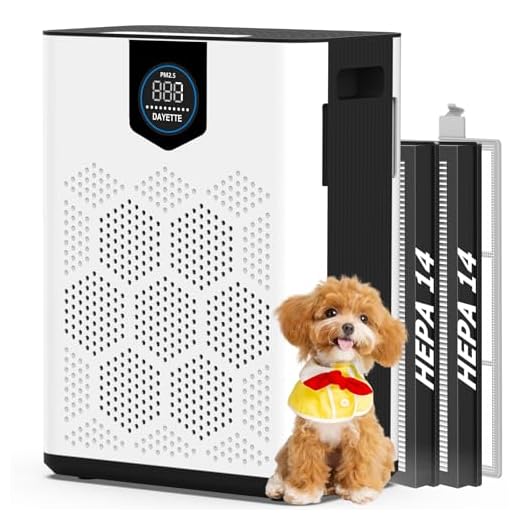 Advanced Home Air Purifier With H14 Filters